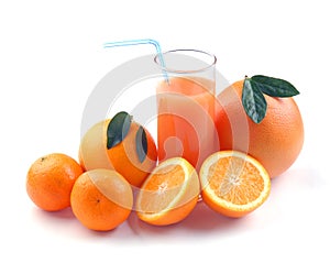 Grapefruit tangerin and orange and juice glass