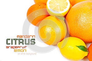 Grapefruit, tangerine, lemon, orange