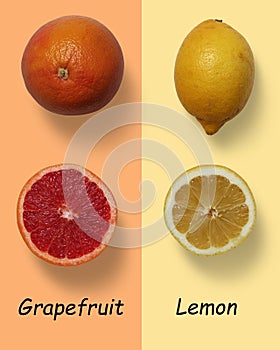 Grapefruit vs lemon