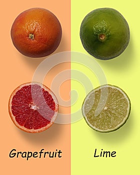 grapefruit vs lime grapefruit half vs lime half