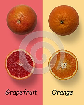 Grapefruit vs orange,  grapefruit half vs orange