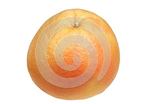 Grapefruit on a white background