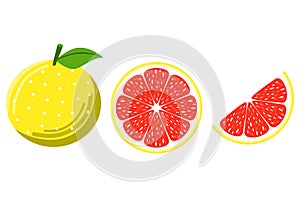 grapefruits illustrations 3 types