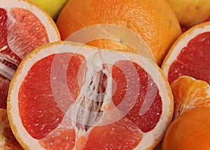 Grapefruits and Mandarines. photo