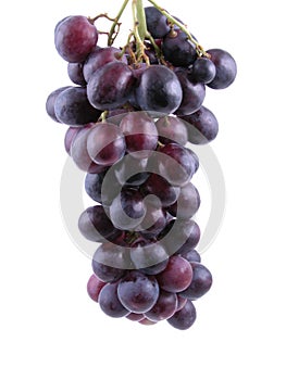 Uvas 