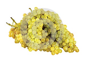 Grapes