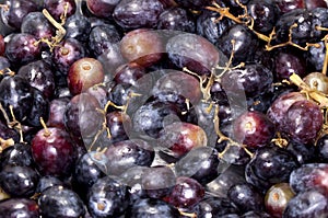 Grapes