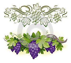 Uvas 