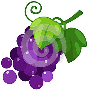 Grapes