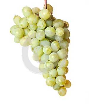 Grapes