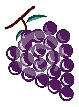 The grapes