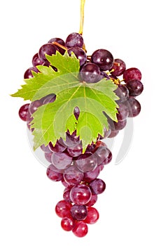 Grapes