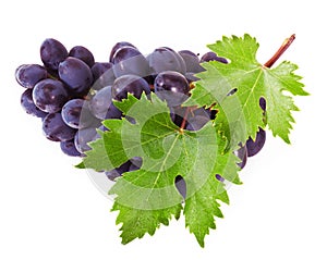 Grapes