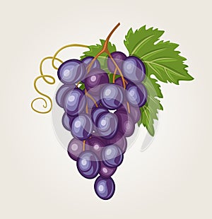 Grapes