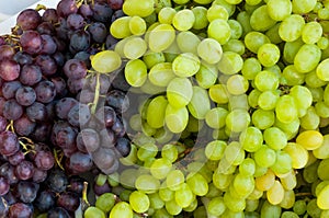 Grapes