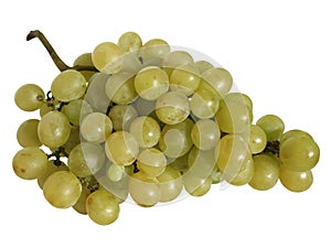 Grapes photo