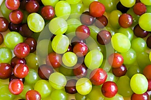 Uvas 