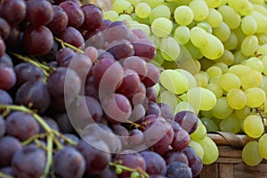 grapes