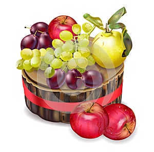 Grapes, apples and plums Vector realistic. Autumn fall harvests