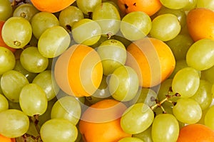 Grapes and apricots Background. S