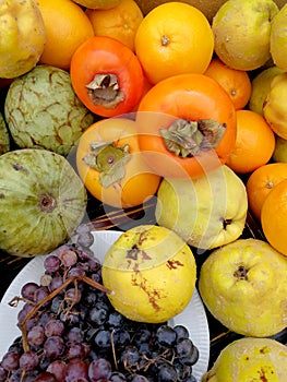 Grapes and autumn fruits in a table