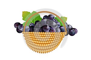 Grapes in basket isolated on white background.