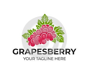 Grapes berry and fruit, bunch of grapes with leaves, logo template. Viticulture, winemaking and farming, a natural and organic pro