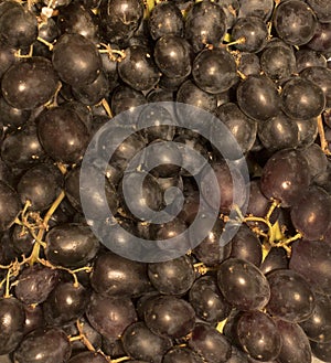 Grapes