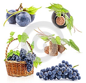 Grapes, bottle and cork