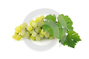 Grapes branch with leaves