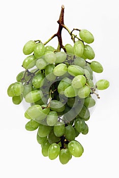 Grapes(bunch)