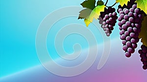 Grapes bunch, grapevine on blue pink background mockup copy space