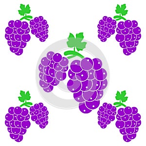 Grapes icon vector design symbol