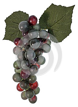Grapes with cloth leaves