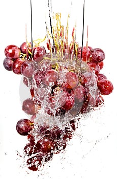 Grapes cluster in water splashes