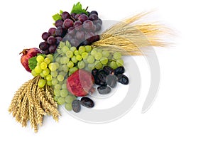 Grapes, dates, garnets, barley, wheat on a white background with space of text