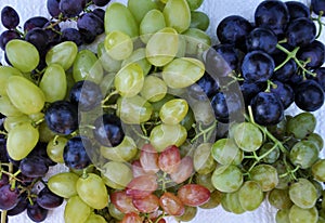 Grapes of different varieties photo