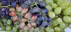 Grapes of different varieties_4 photo