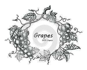 Grapes frame hand drawing vintage engraving illustration