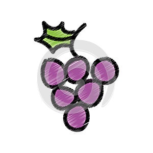 grapes fresh fruit drawing icon