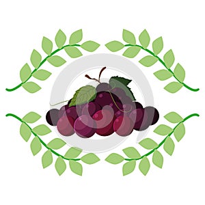 grapes fresh fruit emblem organic
