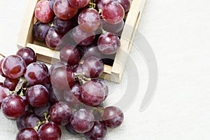 Grapes fruit and wine