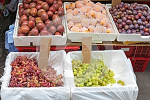 Grapes Fruits