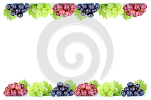 Grapes fruits fresh organic fruit fall autumn copyspace copy spa