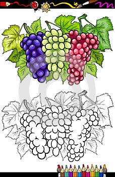 Grapes fruits illustration for coloring book