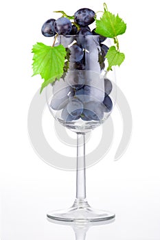 Grapes in a glass of wine isolated on white background