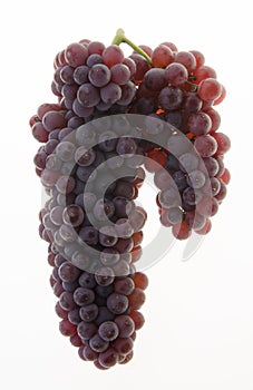 grapes. grapes on background.