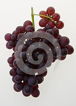 grapes. grapes on background.