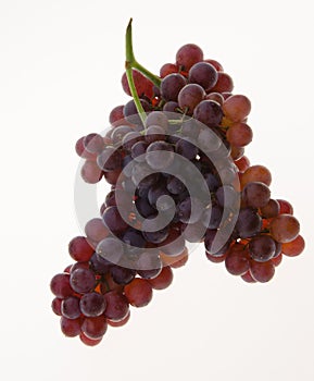 grapes. grapes on background.