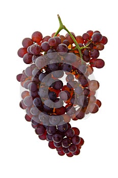 Grapes. grapes on background.